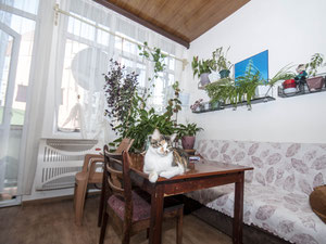 דירה עם נוף לים — חיפוש נדל"ן מפרטי ומקבלן GEOLN.COM. תמונה 7