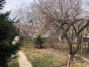 私人住宅在Avlabari。在阿比拉巴里第比利斯买房 — 来自开发商和业主的房地产搜索引擎 GEOLN.COM. 照片 5