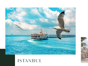 TownHouse 4+1 — Sahiplerden yada inşaatcilardan mülkiyet arama GEOLN.COM. Fotoğraf 12