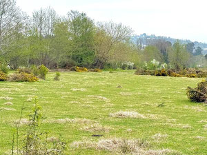 Hutsubani'de Arazi Parseli — Sahiplerden yada inşaatcilardan mülkiyet arama GEOLN.COM. Fotoğraf 3