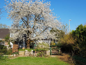 Продается дом в Мюхенгладбахе — Поисковик недвижимости от застройщиков и собственников GEOLN.COM. Фото 8