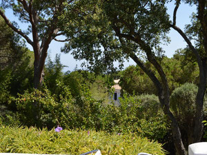 ვილა 4 საძინებელი 414 მ² ელვირიაში, ესპანეთი — უძრავი ქონების ყიდვა და მფლო ბელებისგან GEOLN.COM. ფოტო 31