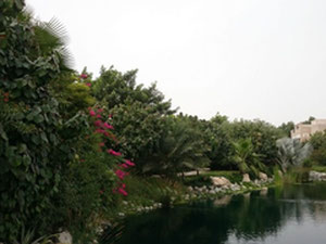 דירות באיחוד האמירויות, דובאי — חיפוש נדל"ן מפרטי ומקבלן GEOLN.COM. תמונה 3