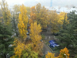 1.5 شقة غرفة في Digomi. شقة بدون وسيط في تبليسي — ابحث عن عقار قيد الإنشاء أو عقار معاد بيعه مباشرة من المطورين والملاك GEOLN.COM. صورة فوتوغرافية 13