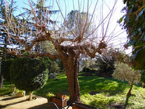 法国别墅, Occitania, Uzès — 来自开发商和业主的房地产搜索引擎 GEOLN.COM. 照片 8