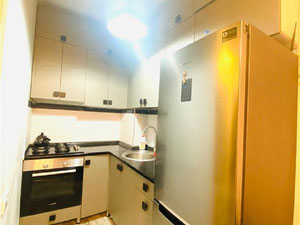 巴统舒适公寓 — 来自开发商和业主的房地产搜索引擎 GEOLN.COM. 照片 7