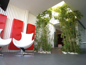 别墅 4 间卧室 497 平方米，位于西班牙贝纳尔马德纳 — 来自开发商和业主的房地产搜索引擎 GEOLN.COM. 照片 13