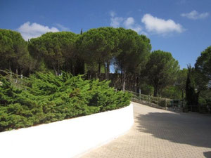 葡萄牙海边的房子，塞图巴尔 — 来自开发商和业主的房地产搜索引擎 GEOLN.COM. 照片 2