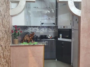 იყიდება 3 ოთახიანი ბინა — უძრავი ქონების ყიდვა და მფლო ბელებისგან GEOLN.COM. ფოტო 5